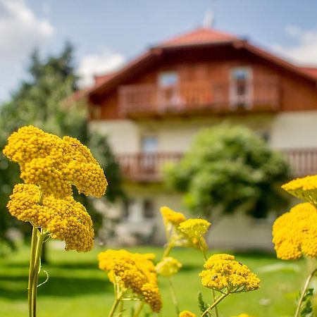 Pension Rieger Radošov Dış mekan fotoğraf