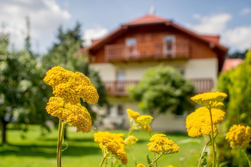 Pension Rieger Radošov Dış mekan fotoğraf